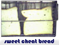 File:hrwikifanstuff cheatbread1.png