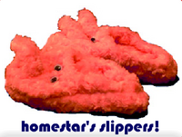 Homestar's slippers!