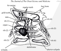 The Journal of The Cheat Science and Medicine