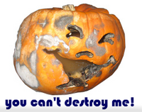 you can't destroy me!