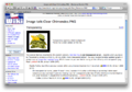 Thumbnail for version as of 01:10, 10 April 2009